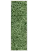 CMSS00336