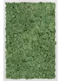 CMSS00348