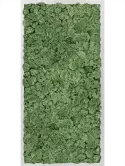 CMSS00354