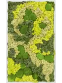 CMSS00367