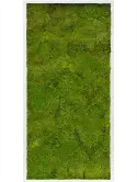 CMSS00430