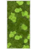 CMSS00431