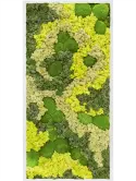 CMSS00434