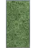 CMSS00446