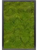 CMSS00473
