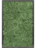 CMSS00476