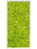 CMSS00487