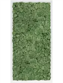 CMSS00488