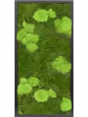 CMSS00492