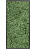 CMSS00494