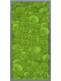 CMSS00496