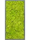 CMSS00499