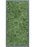 CMSS00500
