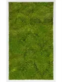 CMSS00503
