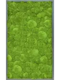 CMSS00514