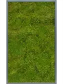CMSS00515