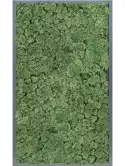 CMSS00518