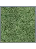 CMSS00554