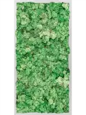 CMSS00674