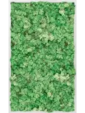 CMSS00676