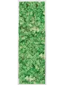 CMSS00678