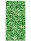 CMSS00679