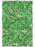 CMSS00680