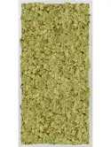CMSS00686