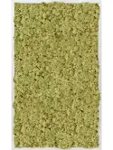 CMSS00688