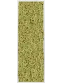 CMSS00690