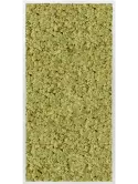 CMSS00691