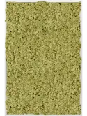 CMSS00692