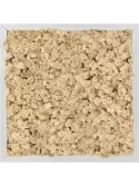 CMSS00695