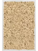 CMSS00696
