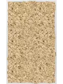 CMSS00710