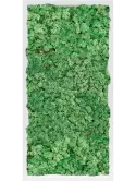 CMSS00733
