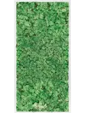 CMSS00737