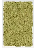CMSS00739