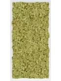 CMSS00741