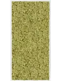 CMSS00745