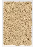 CMSS00747