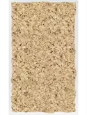 CMSS00751