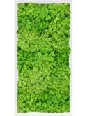 CMSS00757