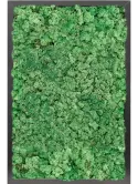 CMSS00763