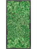 CMSS00765