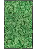 CMSS00767