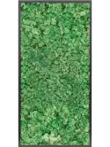 CMSS00769