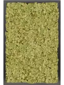 CMSS00771