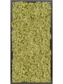 CMSS00773