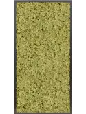 CMSS00777
